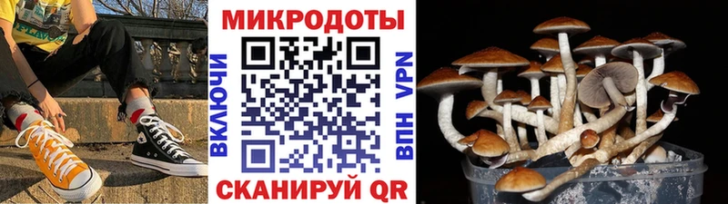Купить  Мончегорск  Галлюциногенные грибы мицелий 